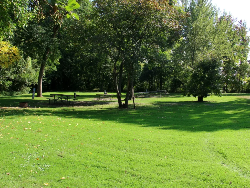 Sunny park with picnic tables